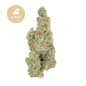 Sour Diesel THCA Flower – A Pungent, Skunky Powerhouse